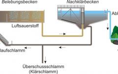 Schema_ARA_simple